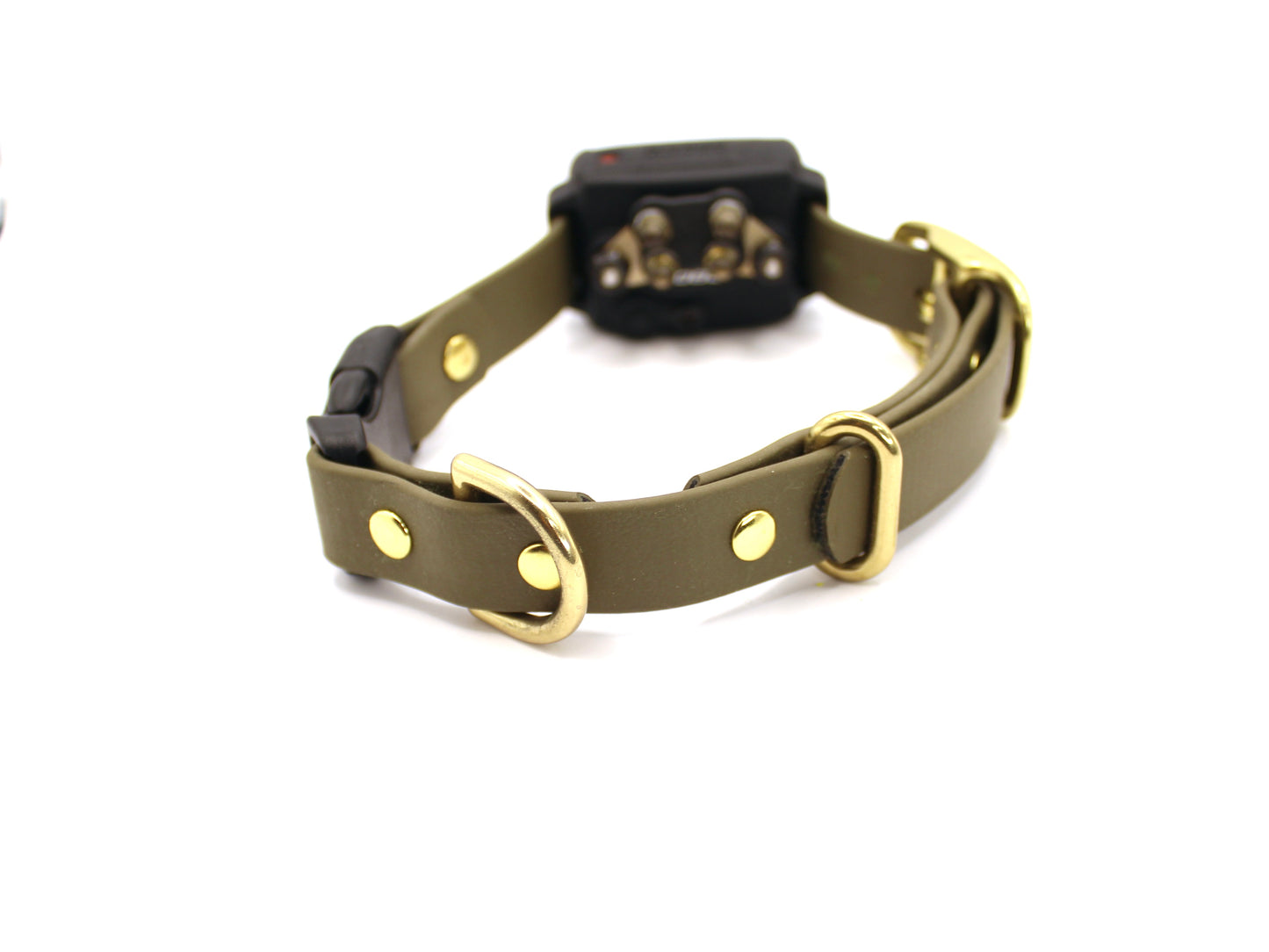 ecollar, replacement band, ecollar replacement band, waterproof, dog, dog collar, collar, waterproof dog collar, dog gear, dog training collar, flat collar, quick release collar, biothane quick release collar, quick release ecollar, dogtra ecollar band, the educator ecollar band, dogtra, ecollar technologies, bqleashes, custom ecollar band