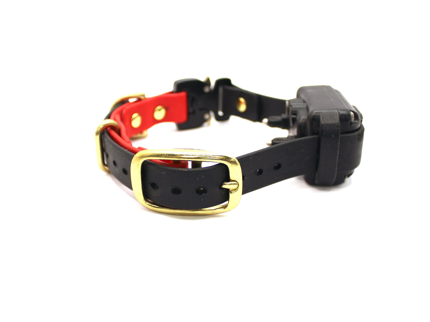 E-Collar COBRA® Quick Release Band - ¾" or 1" wide