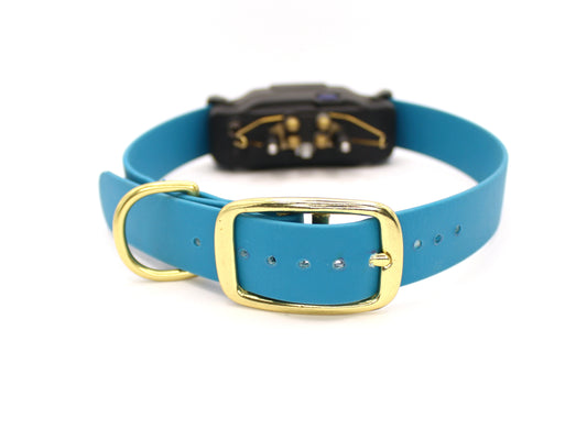 E-Collar Buckle Band - ¾" or 1" wide