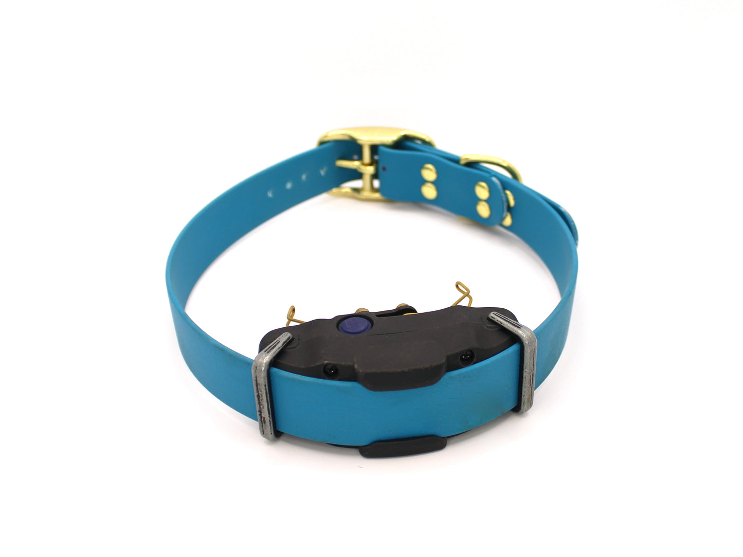 E-Collar Buckle Band - ¾" or 1" wide